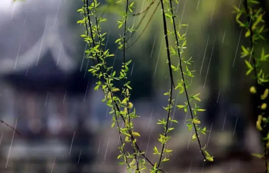 2022年上半年雨水多不多2