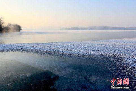 甘肃戈壁湿地冰面“雪处疑花满”