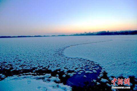 甘肃戈壁湿地冰面“雪处疑花满”