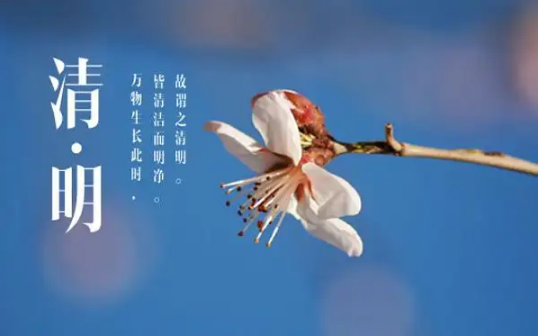 2022清明节生孩子吉利吗3