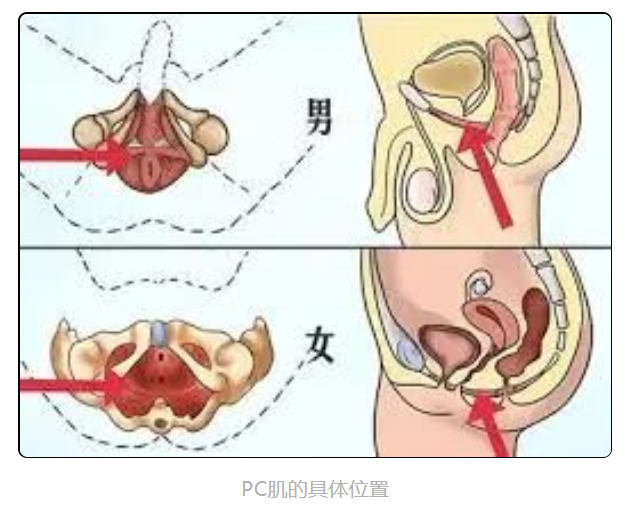 为什么手冲比实战快很多