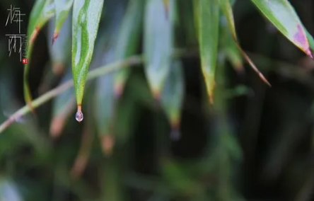 舟山梅雨季节是什么时间20221