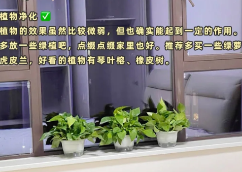 速蓝石真的可以吸收甲醛吗4