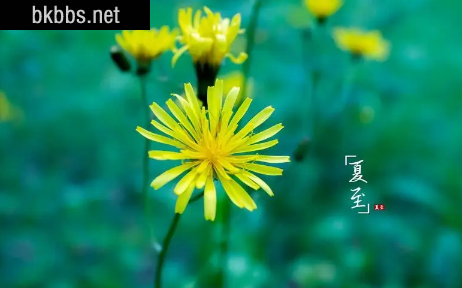 夏至下雨三伏天热吗2