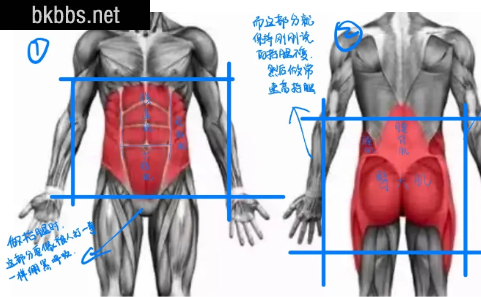 日常生活中需要收紧核心吗2