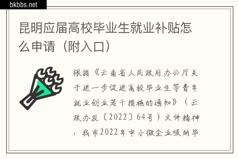 昆明应届高校毕业生就业补贴怎么申请（附入口）