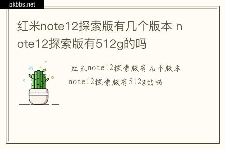 红米note12探索版有几个版本 note12探索版有512g的吗