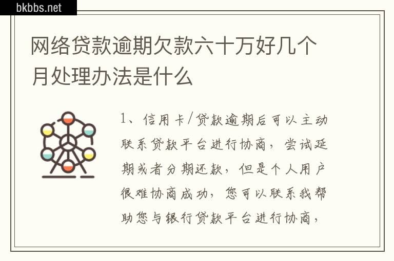 网络贷款逾期欠款六十万好几个月处理办法是什么