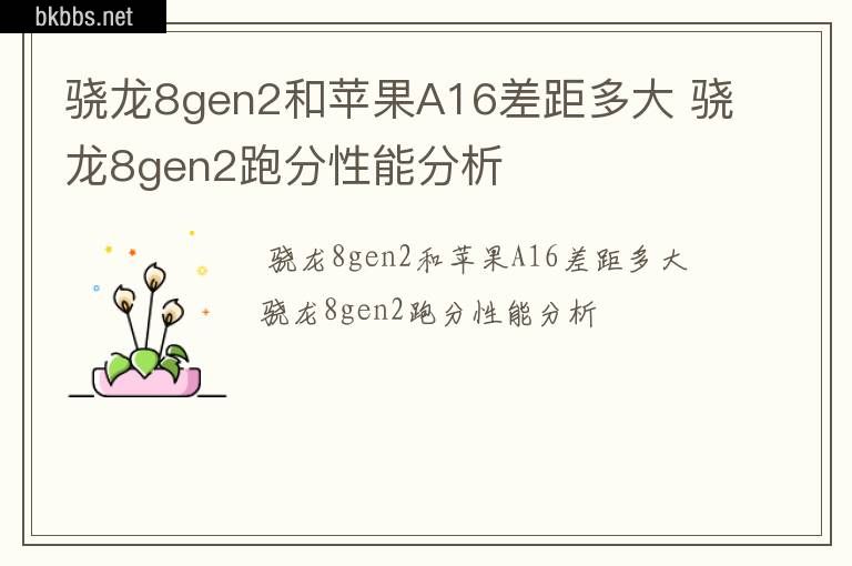 骁龙8gen2和苹果A16差距多大 骁龙8gen2跑分性能分析