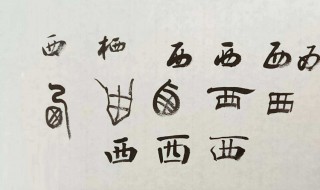 寓意比较好的字 分别都有什么字