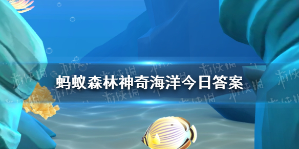 海底蝗虫是指海星还是海参 神奇海洋海星海参答案最新10.19