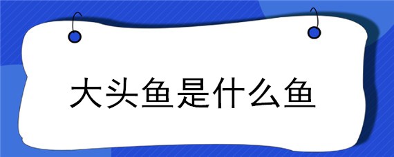 大头鱼是什么鱼 深海大头鱼是什么鱼