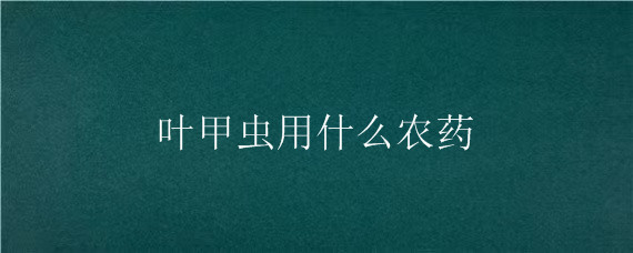 叶甲虫用什么农药 叶甲虫用什么农药防治