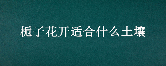 栀子花开适合什么土壤 栀子花开适合什么土壤种植