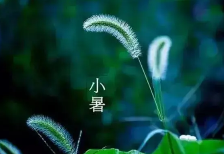 小暑节气下雨好还是出太阳好3