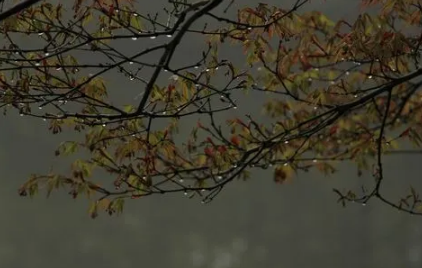 2022年7月半会下雨吗1