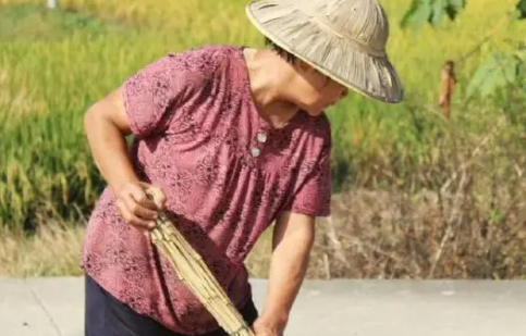 热射病发病的根本原因是什么1