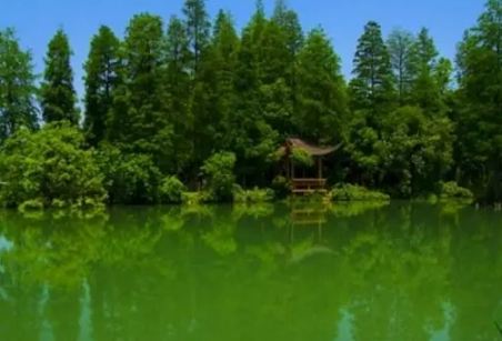 东湖落雁岛风景区门票要预约吗2