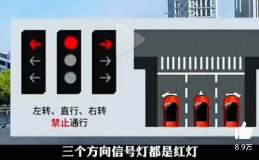 新版红绿灯信号灯图解最新3