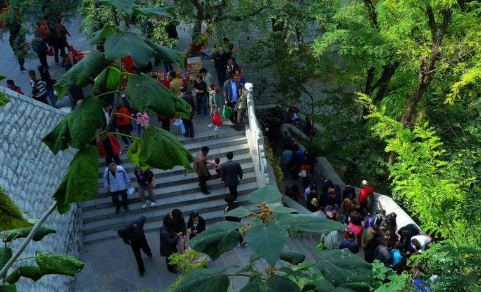 重阳节登高是早上还是晚上1