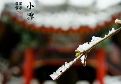 小雪节气是不是老人的一道坎1