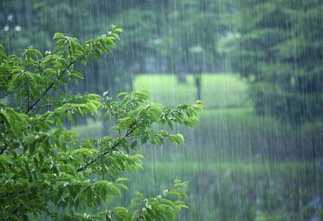 2023年一年的雨水怎么样3