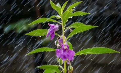 2022冬至下雨有暖冬的说法吗2