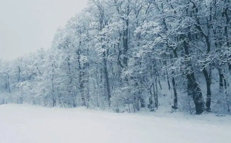 2023北海道冬天一直有雪吗3