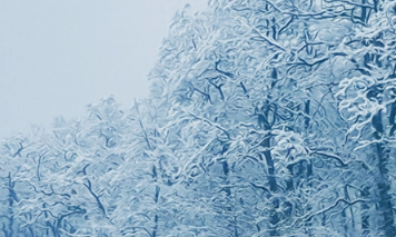 2023大雪节气下雨来年什么兆头3