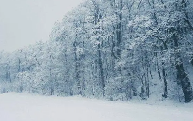 2023苏州过年还有雪吗2