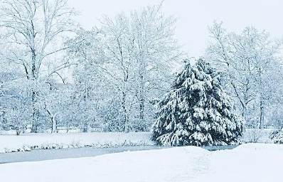 2023春节期间去呼和浩特能看到雪吗3