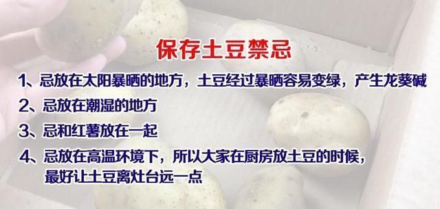 土豆发芽了还能吃吗？刚发芽的土豆可以吃吗