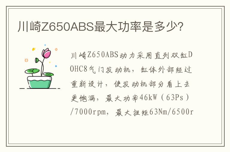 川崎Z650ABS最大功率是多少？