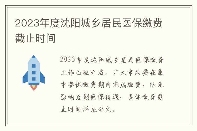 2023年度沈阳城乡居民医保缴费截止时间