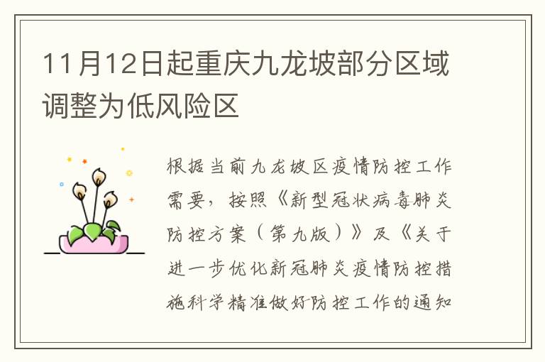 11月12日起重庆九龙坡部分区域调整为低风险区