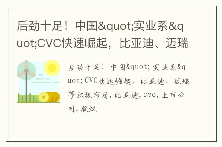 后劲十足！中国“实业系“CVC快速崛起，比亚迪、迈瑞等积极布局