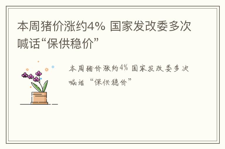 本周猪价涨约4% 国家发改委多次喊话“保供稳价”