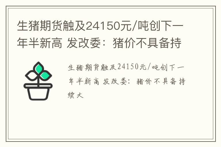 生猪期货触及24150元/吨创下一年半新高 发改委：猪价不具备持续大