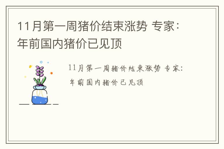 11月第一周猪价结束涨势 专家：年前国内猪价已见顶