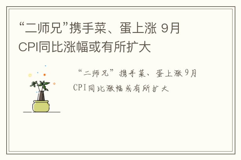 “二师兄”携手菜、蛋上涨 9月CPI同比涨幅或有所扩大