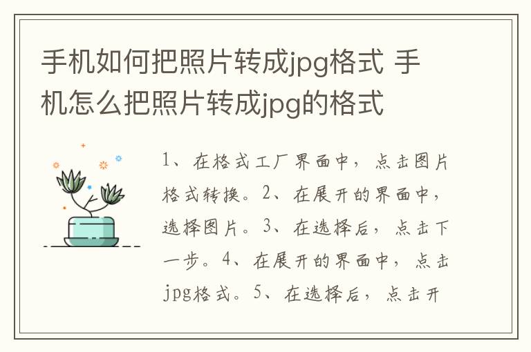 手机如何把照片转成jpg格式 手机怎么把照片转成jpg的格式