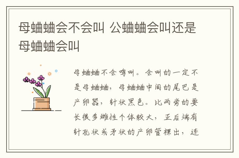 母蛐蛐会不会叫 公蛐蛐会叫还是母蛐蛐会叫