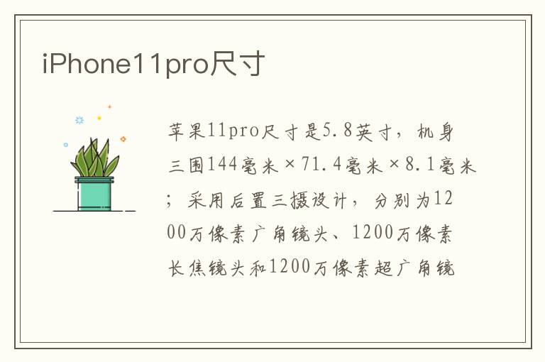 iPhone11pro尺寸