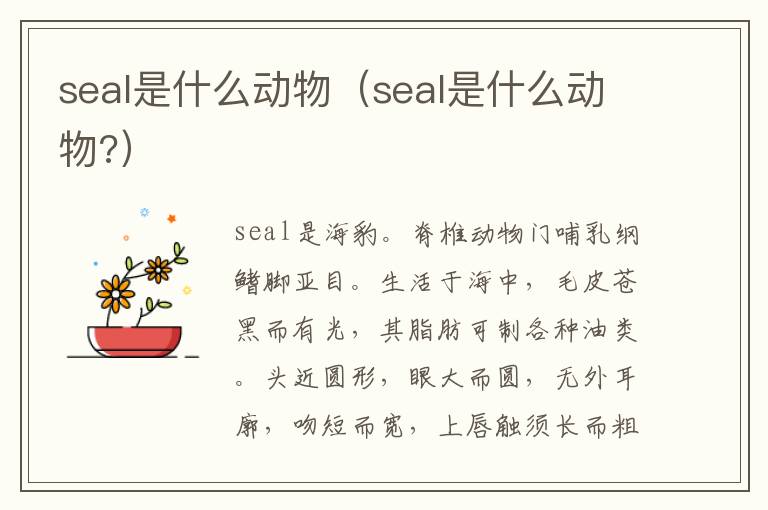 seal是什么动物（seal是什么动物?）