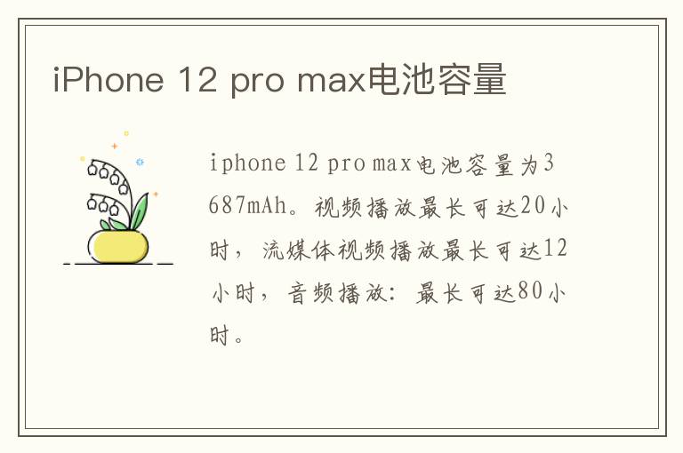 iPhone 12 pro max电池容量