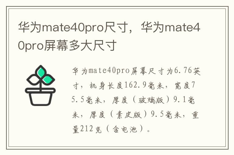 华为mate40pro尺寸，华为mate40pro屏幕多大尺寸