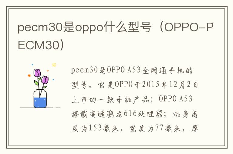 pecm30是oppo什么型号（OPPO-PECM30）