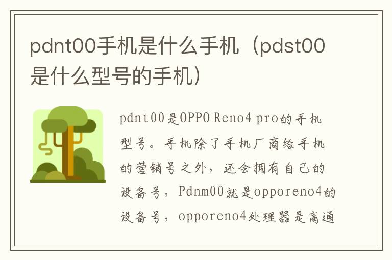 pdnt00手机是什么手机（pdst00是什么型号的手机）