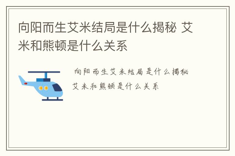 向阳而生艾米结局是什么揭秘 艾米和熊顿是什么关系