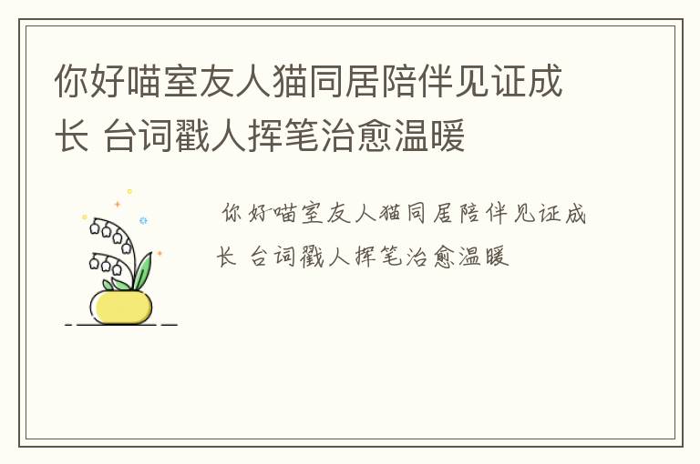 你好喵室友人猫同居陪伴见证成长 台词戳人挥笔治愈温暖